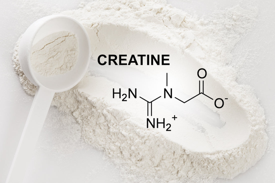 What Is Creatine?